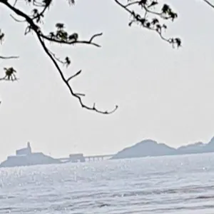 Luxury Mumbles View Apartment